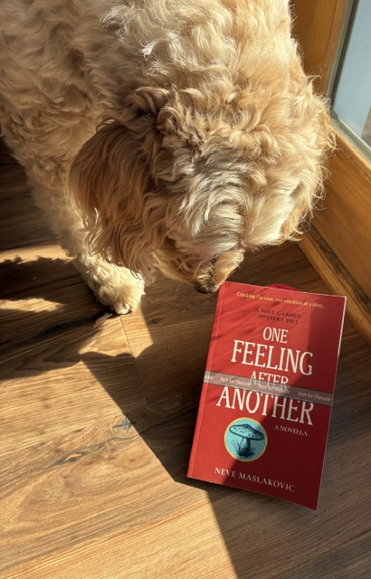 A curious goldendoodle sniffs a proof copy of One Feeling After Another.